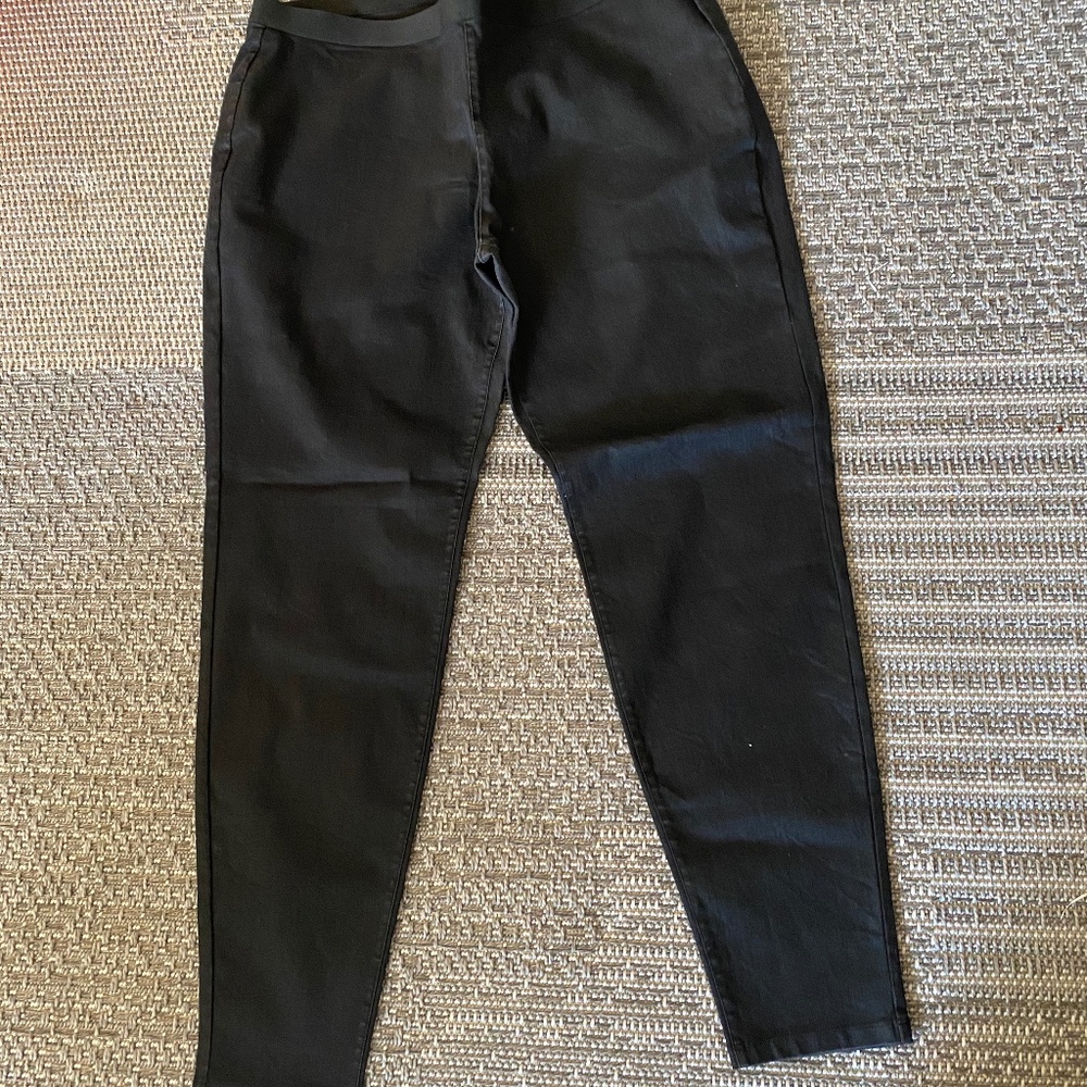 Eileen Fisher Legging pant (size XL)